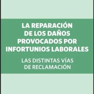 La reparacion de los daños provocados por infortunios laborales - Maza, MA